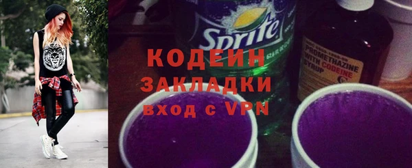 гидра Богородицк