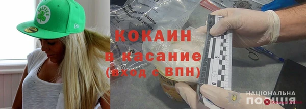 гидра Богородицк