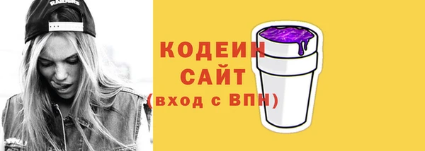 гидра Богородицк