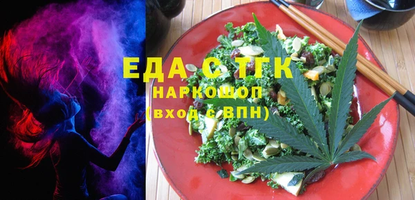 гидра Богородицк