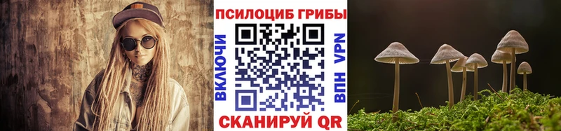 купить наркотики цена  Мценск  Псилоцибиновые грибы Psilocybine cubensis 